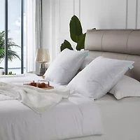 Martha Stewart Down 2-Pack Medium/Firm Bed Pillow
