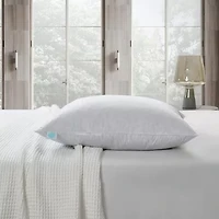 Martha Stewart Down 2-Pack Medium/Firm Bed Pillow