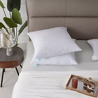 Martha Stewart Down 2-Pack Medium/Firm Bed Pillow