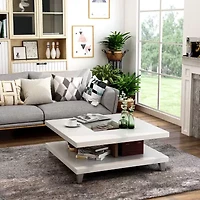 Willa Storage Coffee Table