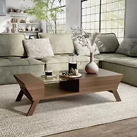Borden Storage Coffee Table