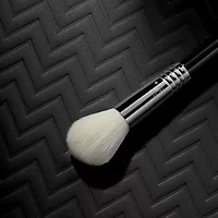 Sigma Beauty F76 Chiseled Cheek