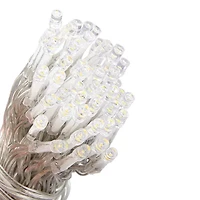 5' 6-Strand LED Curtain String Lights