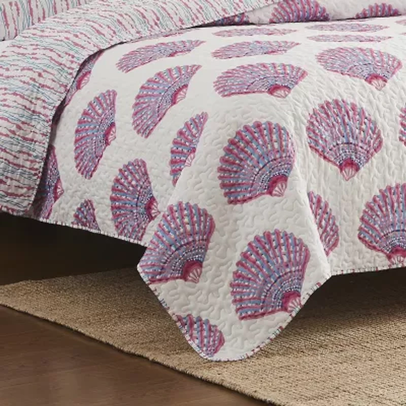 Avanti Scallop Shell Reversible Quilt Set