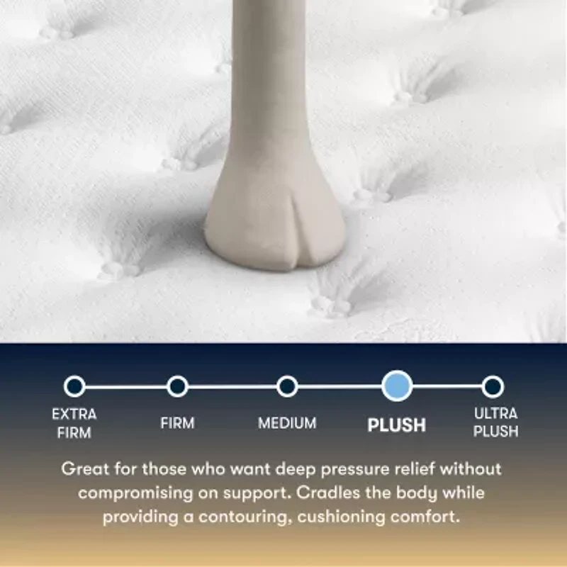 The Serta Perfect Sleeper Mondale 13.5" Plush Tight Top - Mattress Only