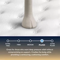 The Serta Perfect Sleeper Mondale 13.5" Plush Tight Top - Mattress Only