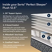 The Serta Perfect Sleeper Beechdale 12.5" Plush Tight Top