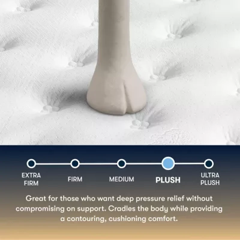 The Serta Perfect Sleeper Beechdale 12.5" Plush Tight Top