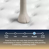 The Serta Perfect Sleeper Beechdale 12.5" Plush Tight Top