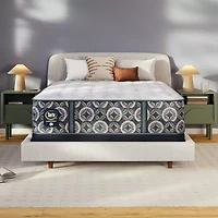 The Serta Perfect Sleeper Autumndale 14"  Extra Firm Tight Top - Mattress Only