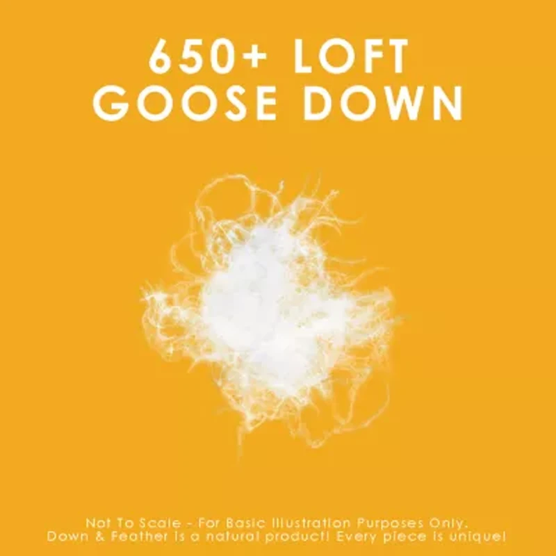 Canadian Down & Feather Company 650 Loft Goose Comforter