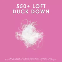 Canadian Down & Feather Company 2 Pack Medium Density Bed Pillow