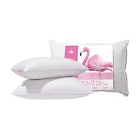 Canadian Down & Feather Company 2 Pack Medium Density Bed Pillow