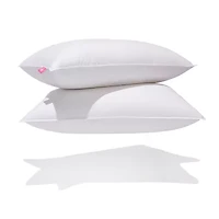 Canadian Down & Feather Company 2 Pack Medium Density Bed Pillow