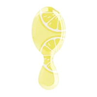The Wet Brush Tutti Fruitti Pro Mini Detangler