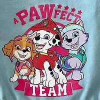 Toddler Girls Sleeveless Paw Patrol A-Line Dress