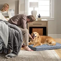 Precious Tails 40" Gray Orthopedic Pet Bed