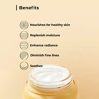 Cosrx Full Fit Propolis Light Moisturizer