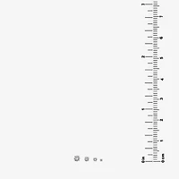 Silver Treasures Womens Cubic Zirconia Sterling Silver Round Pair Earring Set