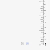 Silver Treasures Opal Womens Cubic Zirconia Sterling Silver 2 Pair Earring Set