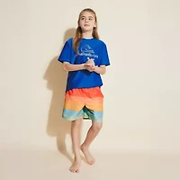 Quiksilver Big Kid Boys Striped Swim Trunks