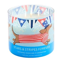Distant Lands 14oz Stars & Stripes Forever 3-Wick Scented Jar Candle
