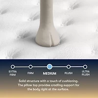 The Serta Perfect Sleeper Mondale 14" Medium Pillow Top