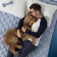 Serta Perfect Sleeper Blue Lagoon Nights 14.5" Plush Pillow Top - Mattress + Box Spring