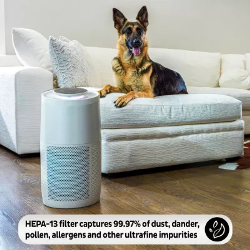 Instant® AP300 Home Purification System