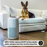Instant® AP300 Home Purification System