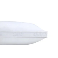 Claritin Allergen Barrier Medium/Firm Density Pillow