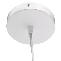 1 Light Elongated Metal Pendant