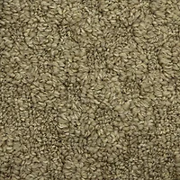 Maples Textured Solid Weave Indoor Rectangular Accent Rug