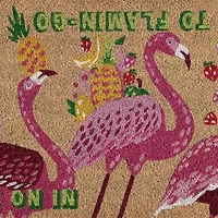 Outdoor Oasis Flamingo Coir Doormat