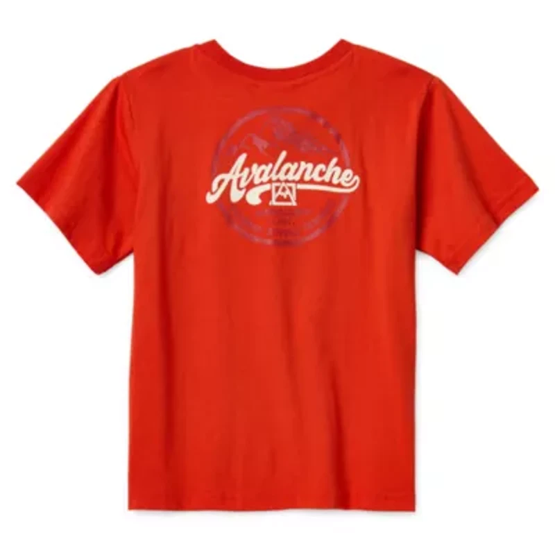 Avalanche Little Boys 2-pc. Short Set