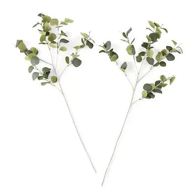 Linden Street 36" Eucalyptus Stem 2-pc. Vase Filler