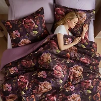 Madison Park Rosalina Velvet 4-pc. Midweight Easy Care Comforter Set