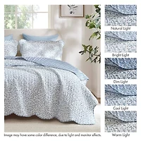 Madison Park Eamon 3-pc. Print Quilt Set