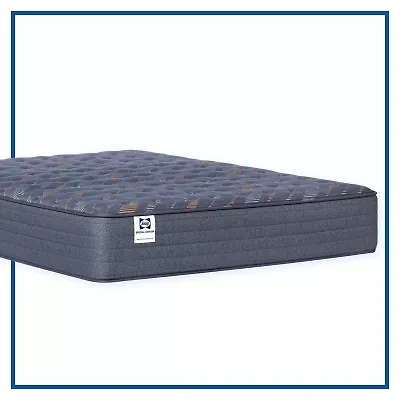 Sealy Special Edition Warner 12" Firm Tight Top - Mattress Only