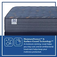 Sealy Special Edition Warner 12" Firm Tight Top - Mattress Only