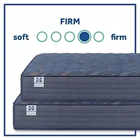 Sealy Special Edition Warner 12" Firm Tight Top - Mattress Only