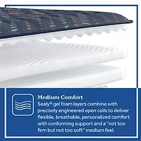 Sealy Special Edition Warner 12" Medium Tight Top - Mattress Only