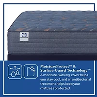 Sealy Special Edition Warner 12" Medium Tight Top - Mattress Only