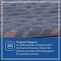 Sealy Special Edition Warner 12" Plush Pillow Top - Mattress Only