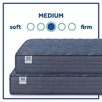 Sealy Special Edition Warner 12" Medium Tight Top - Mattress Only