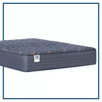 Sealy Special Edition Warner 12" Medium Tight Top - Mattress Only