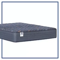 Sealy Special Edition Warner 12" Medium Tight Top - Mattress Only