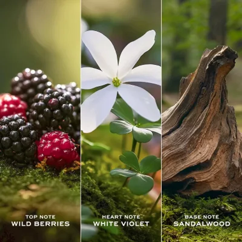 Marc Jacobs Daisy Love 3-Pc Set ($206 Value)