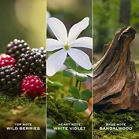 Marc Jacobs Daisy Love 3-Pc Set ($206 Value)