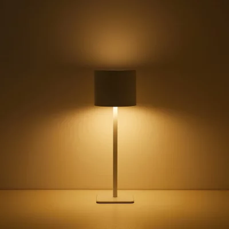 AEROPOSTALE White Stainless Steel Table Lamp